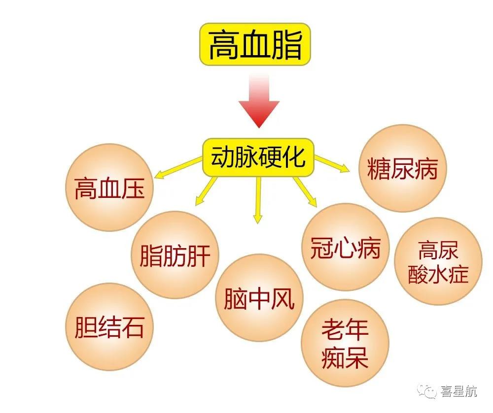 關(guān)于高血壓、糖尿病患者，9月1日起城鄉(xiāng)居民醫(yī)保門診用藥保(圖3)