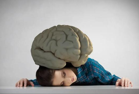 西安市人力資源和社會保障局開通社?？ㄔ诰€預約服務(wù)