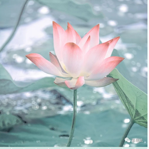 定了！今年居民醫(yī)保繳費(fèi)標(biāo)準(zhǔn)每人每年350元！
